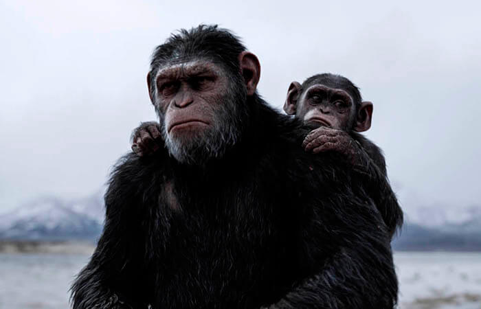 "La guerra del planeta de los simios" y "Cars 3", líderes de la taquilla española